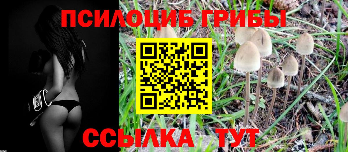 Псилоцибиновые грибы мицелий Нарткала