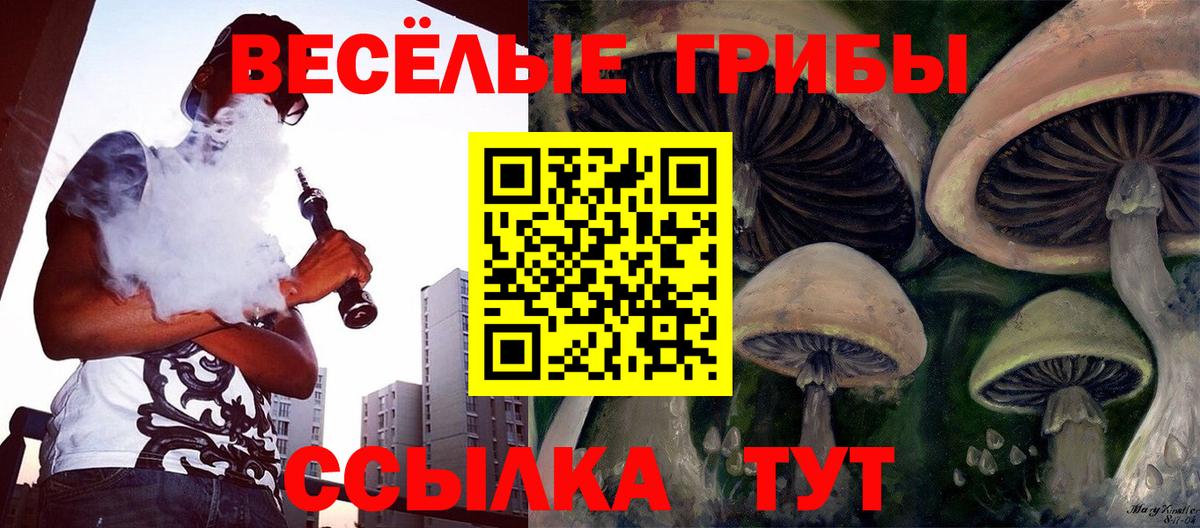 Нарткала  Псилоцибиновые грибы MAGIC MUSHROOMS  Галлюциногенные грибы GOLDEN TEACHER  Вход с VPN 